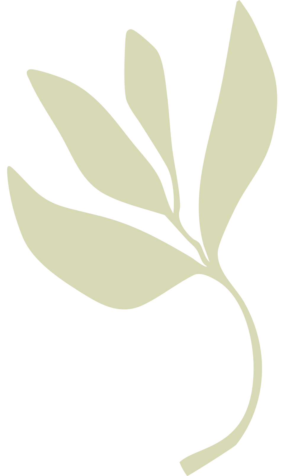 blatt_grafik_klein_ayurveda