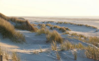 Deine Auszeit auf Juist