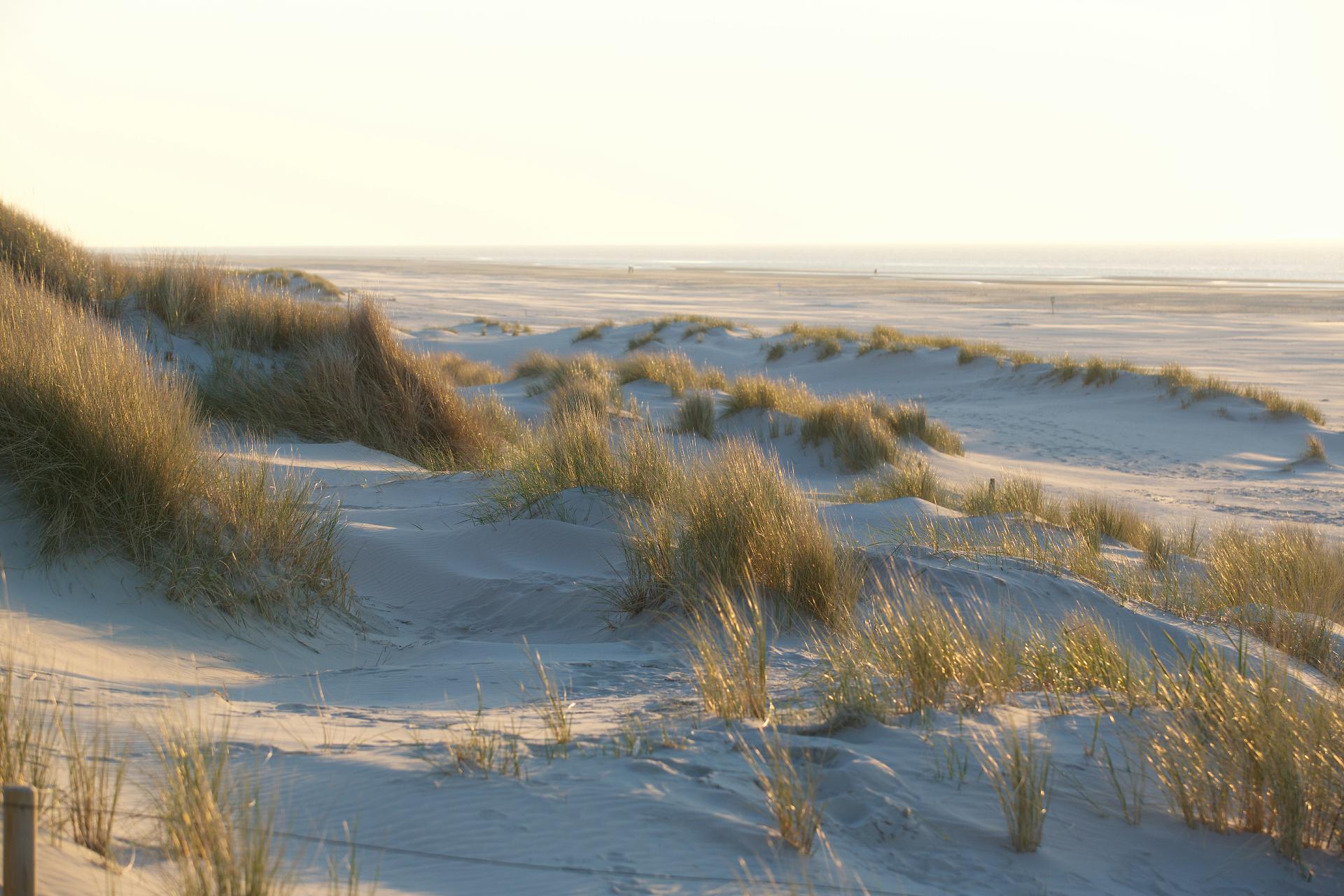 insel9