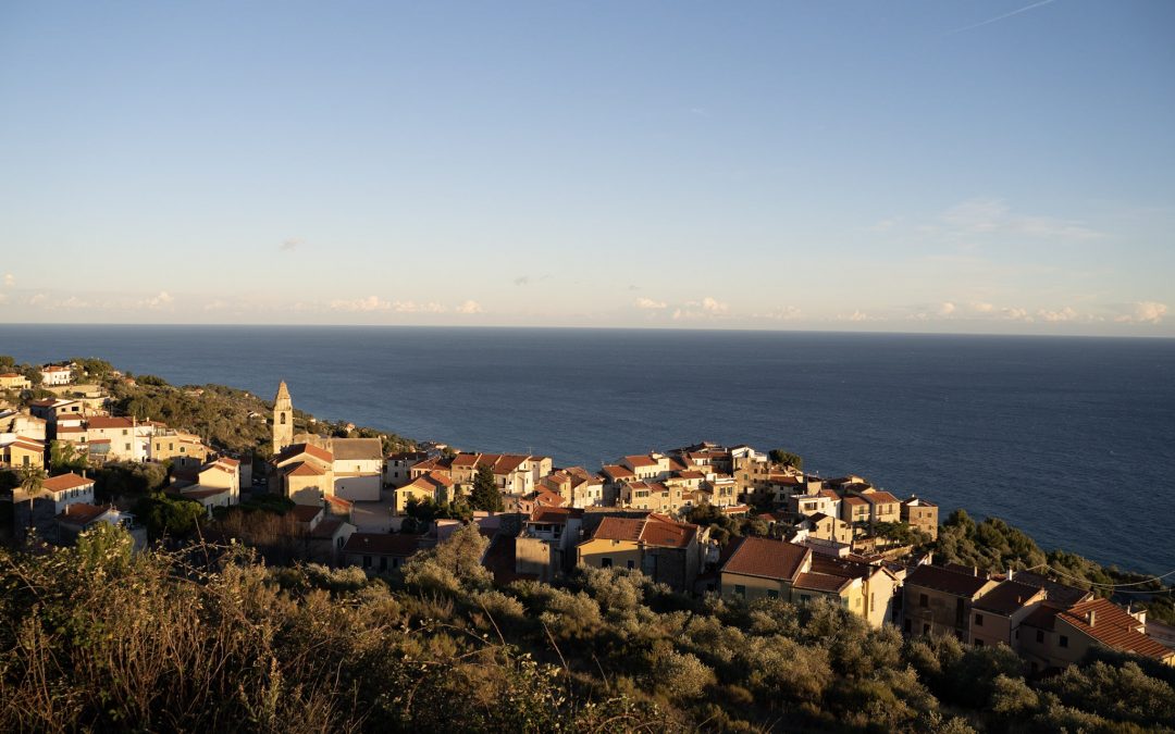 Regeneration auf allen Ebenen